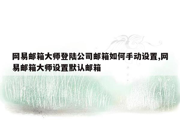 网易邮箱大师登陆公司邮箱如何手动设置,网易邮箱大师设置默认邮箱