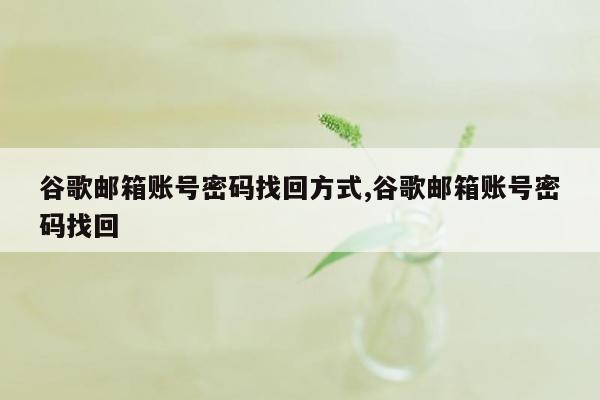 谷歌邮箱账号密码找回方式,谷歌邮箱账号密码找回