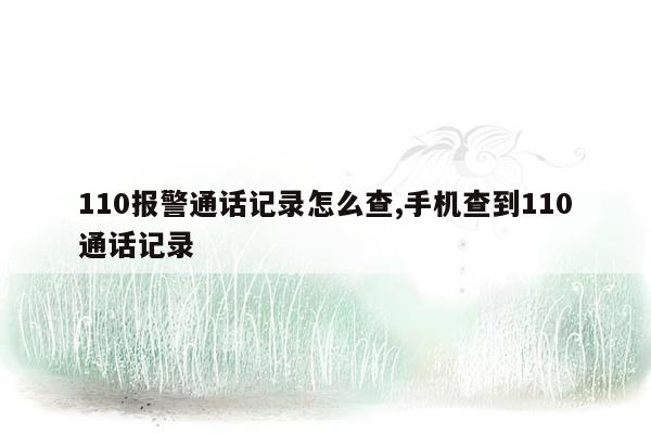 110报警通话记录怎么查,手机查到110通话记录