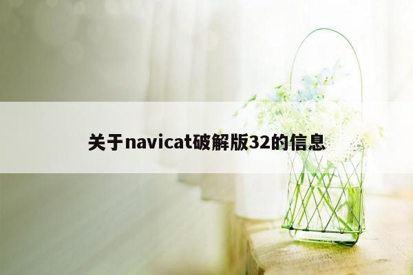 关于navicat破解版32的信息