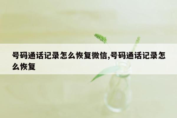 号码通话记录怎么恢复微信,号码通话记录怎么恢复