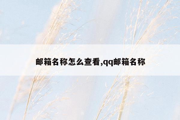 邮箱名称怎么查看,qq邮箱名称