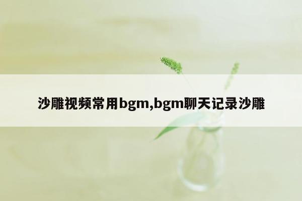 沙雕视频常用bgm,bgm聊天记录沙雕