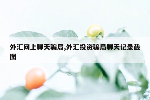 外汇网上聊天骗局,外汇投资骗局聊天记录截图