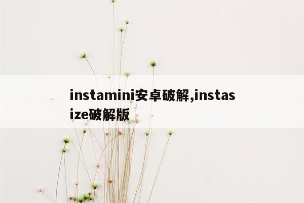 instamini安卓破解,instasize破解版