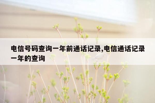 电信号码查询一年前通话记录,电信通话记录一年的查询