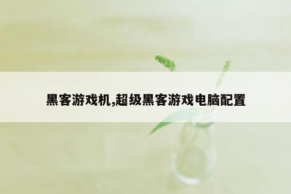 黑客游戏机,超级黑客游戏电脑配置