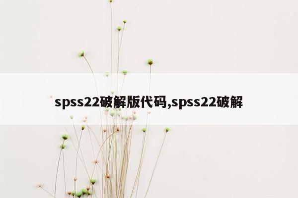 spss22破解版代码,spss22破解