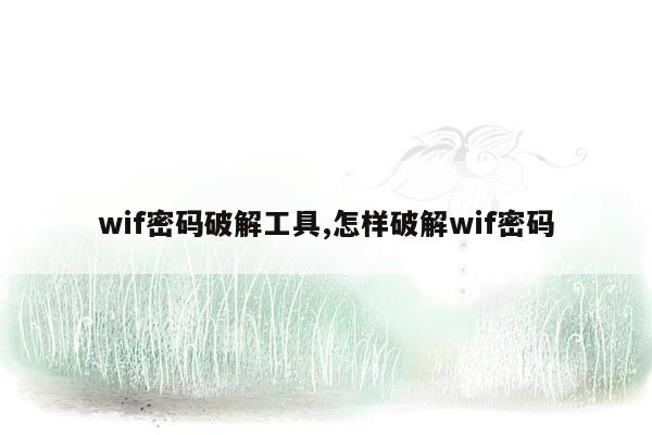 wif密码破解工具,怎样破解wif密码