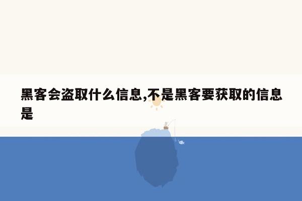 黑客会盗取什么信息,不是黑客要获取的信息是