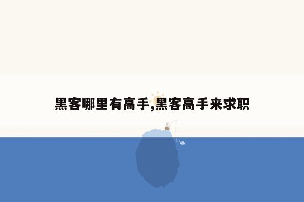 黑客哪里有高手,黑客高手来求职