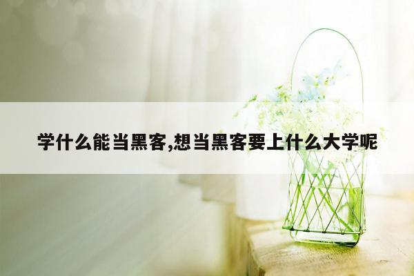 学什么能当黑客,想当黑客要上什么大学呢