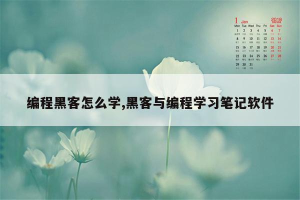 编程黑客怎么学,黑客与编程学习笔记软件