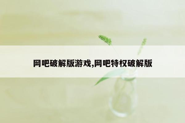 网吧破解版游戏,网吧特权破解版