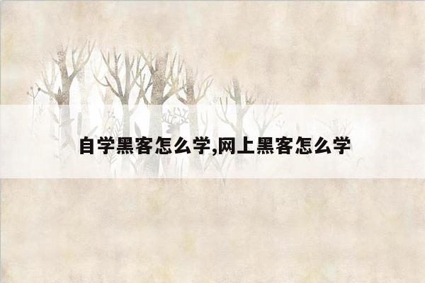 自学黑客怎么学,网上黑客怎么学