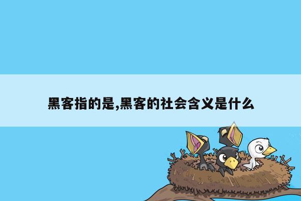 黑客指的是,黑客的社会含义是什么