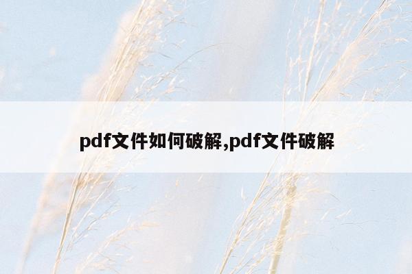 pdf文件如何破解,pdf文件破解