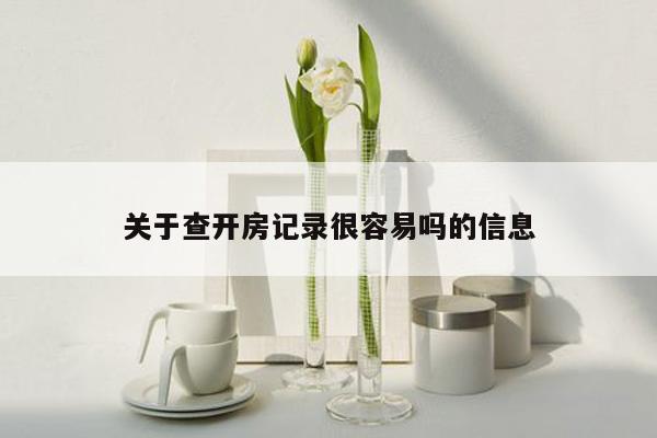 关于查开房记录很容易吗的信息