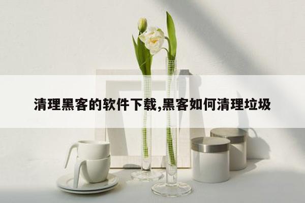 清理黑客的软件下载,黑客如何清理垃圾