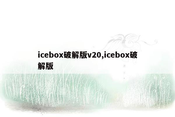 icebox破解版v20,icebox破解版