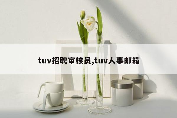 tuv招聘审核员,tuv人事邮箱