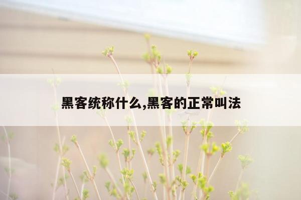 黑客统称什么,黑客的正常叫法