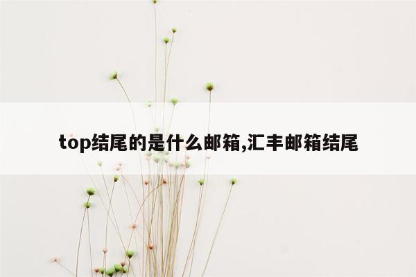 top结尾的是什么邮箱,汇丰邮箱结尾