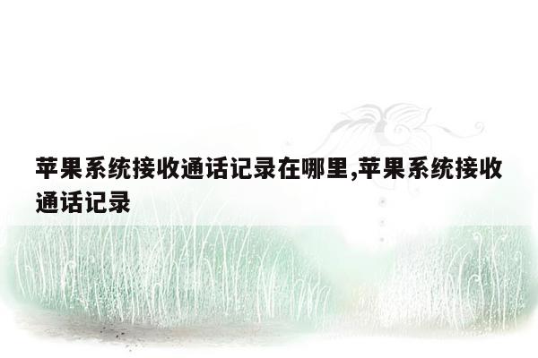 苹果系统接收通话记录在哪里,苹果系统接收通话记录