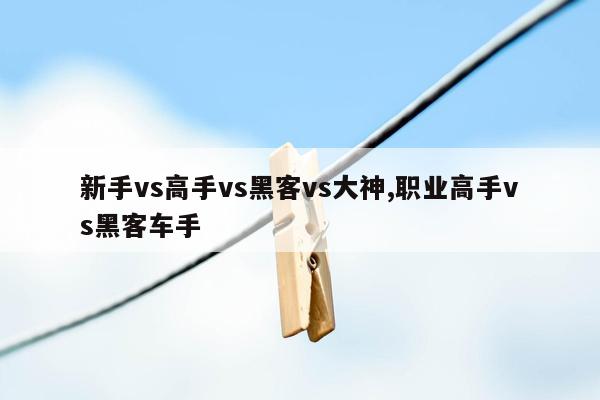 新手vs高手vs黑客vs大神,职业高手vs黑客车手