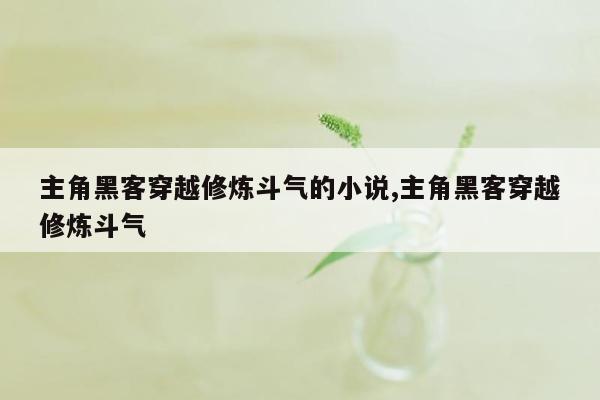 主角黑客穿越修炼斗气的小说,主角黑客穿越修炼斗气