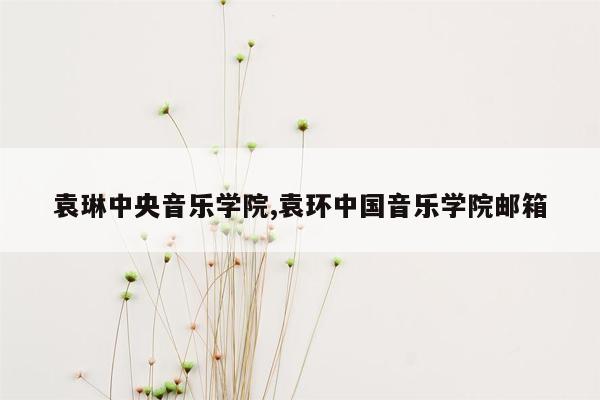 袁琳中央音乐学院,袁环中国音乐学院邮箱