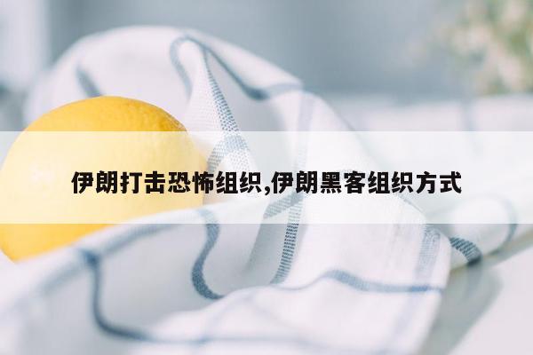 伊朗打击恐怖组织,伊朗黑客组织方式