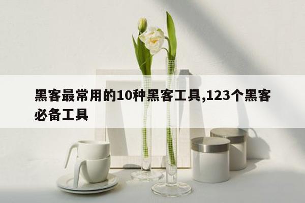 黑客最常用的10种黑客工具,123个黑客必备工具