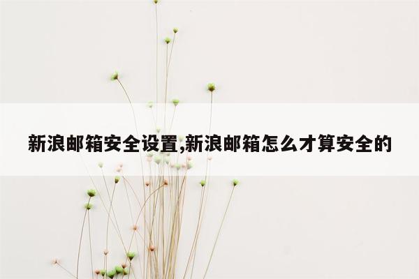 新浪邮箱安全设置,新浪邮箱怎么才算安全的