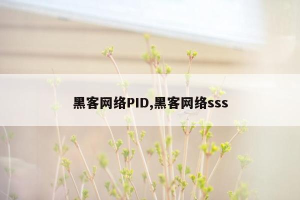 黑客网络PID,黑客网络sss