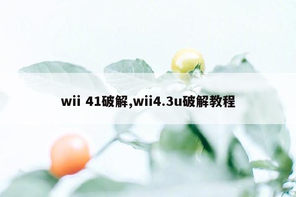 wii 41破解,wii4.3u破解教程