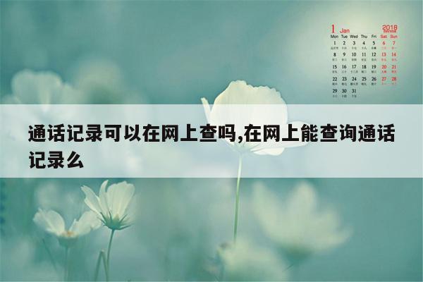 通话记录可以在网上查吗,在网上能查询通话记录么