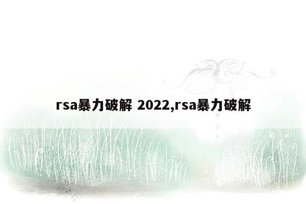 rsa暴力破解 2022,rsa暴力破解