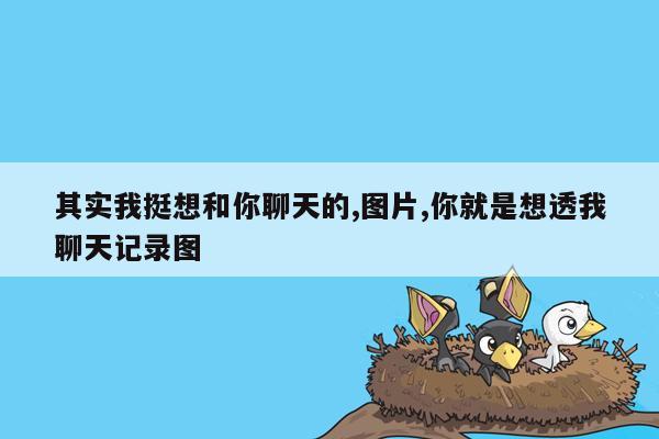 其实我挺想和你聊天的,图片,你就是想透我聊天记录图