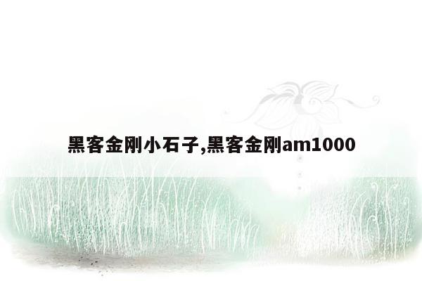 黑客金刚小石子,黑客金刚am1000