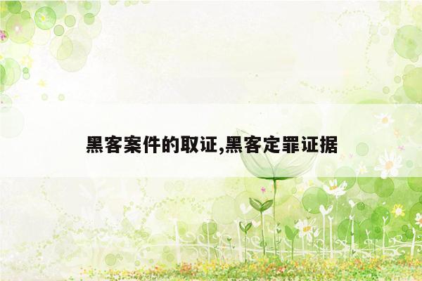 黑客案件的取证,黑客定罪证据