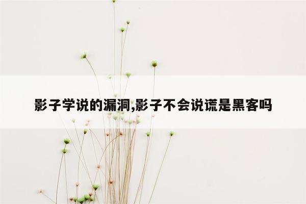 影子学说的漏洞,影子不会说谎是黑客吗