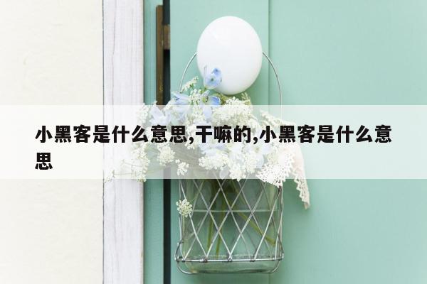 小黑客是什么意思,干嘛的,小黑客是什么意思