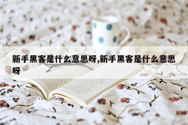 新手黑客是什么意思呀,新手黑客是什么意思呀