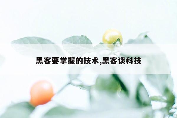 黑客要掌握的技术,黑客谈科技