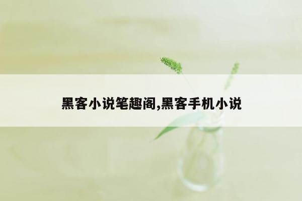 黑客小说笔趣阁,黑客手机小说