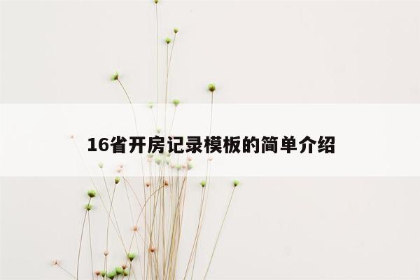 16省开房记录模板的简单介绍