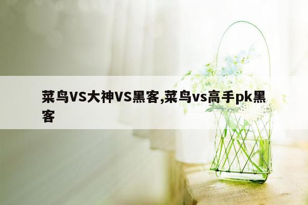 菜鸟VS大神VS黑客,菜鸟vs高手pk黑客