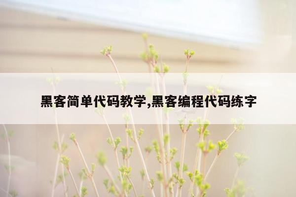 黑客简单代码教学,黑客编程代码练字