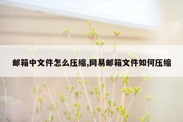 邮箱中文件怎么压缩,网易邮箱文件如何压缩